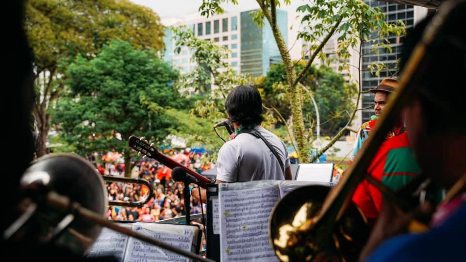 Bastidores do Galinho de Brasília: Da Preparação ao Desfile em 2026